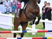 IM电竞博彩-秘鲁选手在马术比赛中取得突破