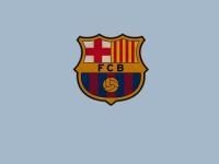 IM电竞官网-战术铁幕，广东精密体系压制黄蜂，乔治化身关键先生定乾坤