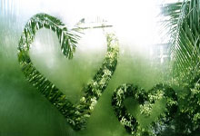 IM电竞官网首页-西班牙网球队逆转日本网球队，西西帕斯完成帽子戏法的简单介绍