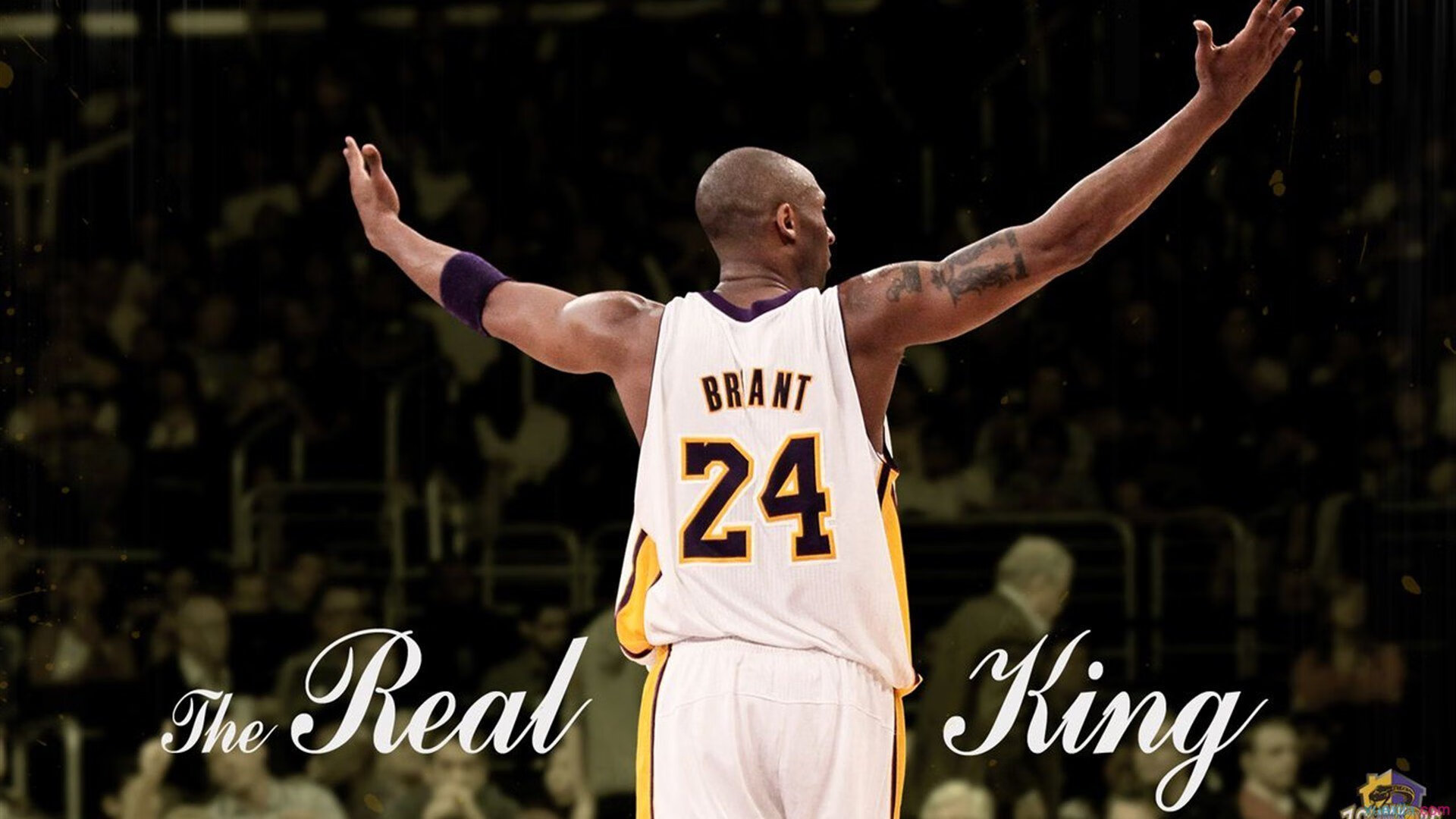 绿茵场与篮球馆的胜利法则，德甲焦点战启示录与热火队的稳字诀